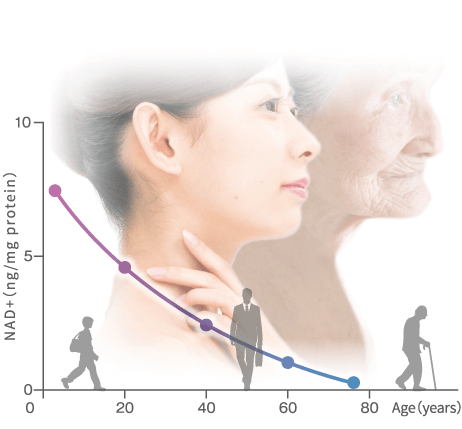 引发身体机能低下，带来各种各样的老化疾病